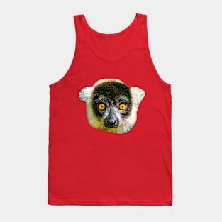 black and white Ruffed lemur looking at you Tank Top